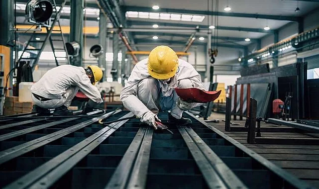 Evka 6 Fare İlaçlama